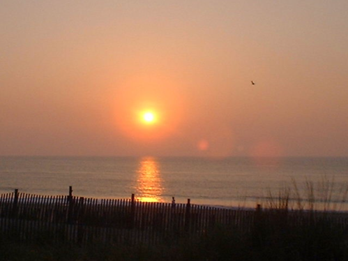 A serene sunset over the ocean, with soft colors reflecting on the water and a silhouette of a fence in the foreground.