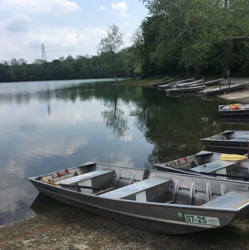 A calm lake with several boats docked along the shore, surrounded by lush greenery and a clear blue sky.