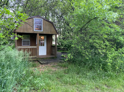 A small wooden cabin surrounded by lush greenery and trees, with a porch and a welcoming front door.