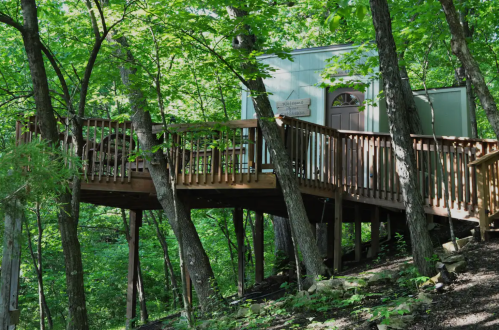 A wooden deck surrounded by lush green trees, leading to a small cabin in a forested area.