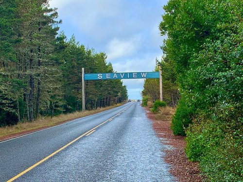A road sign reading "SEAVIEW" above a quiet road lined with trees under a cloudy sky.