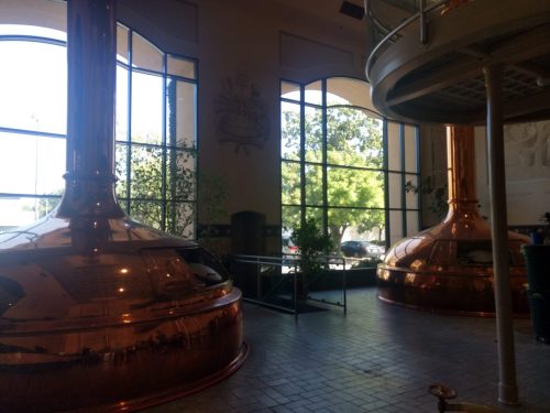 Interior of a brewery featuring large copper brewing kettles and large windows with greenery outside.