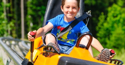 A smiling boy in a blue shirt rides a yellow alpine coaster, gripping the handles with excitement.