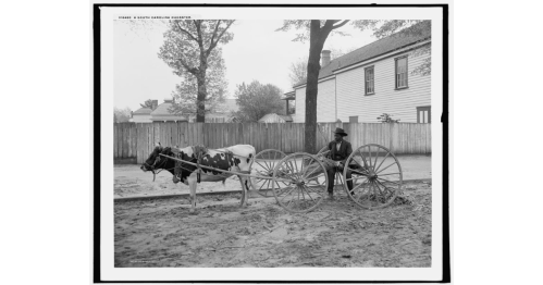 A man stands beside a horse-drawn wagon in a rural setting, with a wooden fence and houses in the background.