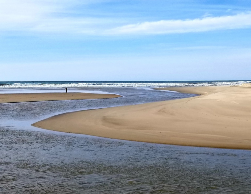 A serene beach scene with gentle waves, a winding river, and a lone figure standing on the sand under a blue sky.