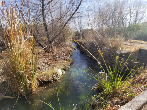 A serene stream flows through a natural landscape with bare trees and tall grasses on either side.