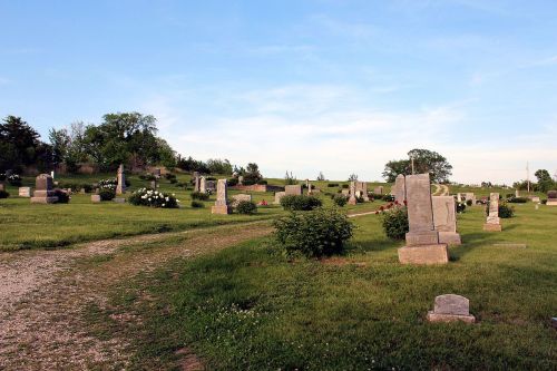 A peaceful cemetery with gravestones set among green grass and trees under a clear blue sky.