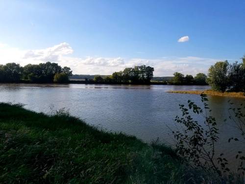 A serene river scene with lush green banks, trees in the background, and a clear blue sky with scattered clouds.