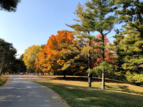 A scenic park path lined with vibrant autumn trees in shades of orange, yellow, and green under a clear blue sky.