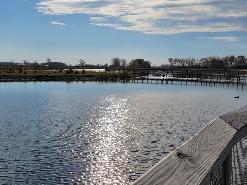 A serene view of a calm lake reflecting sunlight, with a wooden walkway and lush greenery in the background.