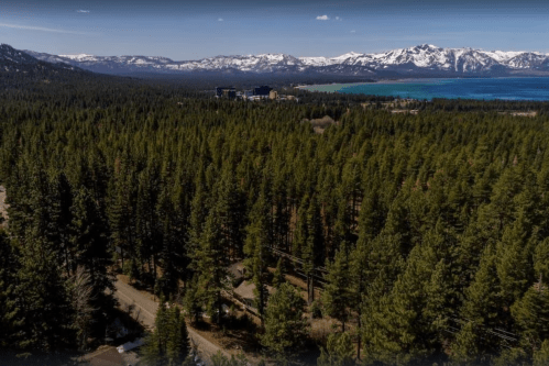 Aerial view of a dense forest with mountains and a lake in the background, showcasing natural beauty and tranquility.