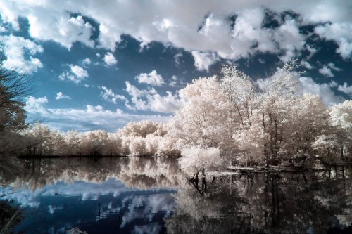 A serene landscape featuring a reflective lake surrounded by trees, with a dramatic sky and fluffy clouds above.