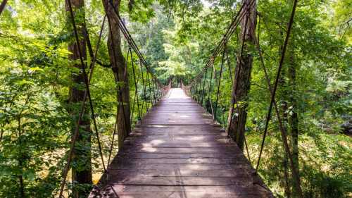 A wooden suspension bridge surrounded by lush green trees, leading into a serene natural landscape.