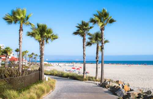 A sunny beach scene with palm trees lining a pathway, leading to sandy shores and colorful umbrellas in the distance.