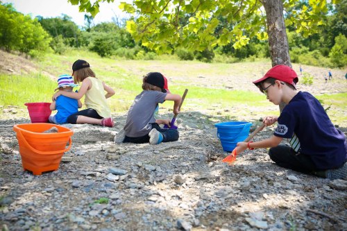Children digging in the dirt with colorful buckets, enjoying a sunny day outdoors near a tree.