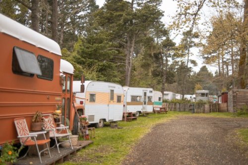 A row of vintage campers parked along a tree-lined path, with chairs and greenery in a serene outdoor setting.