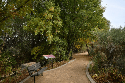 A winding path through a park, lined with trees and a bench, surrounded by autumn foliage.