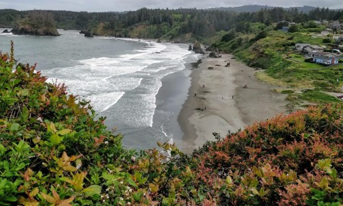 A scenic coastal view featuring waves crashing on a sandy beach, surrounded by lush greenery and distant hills.