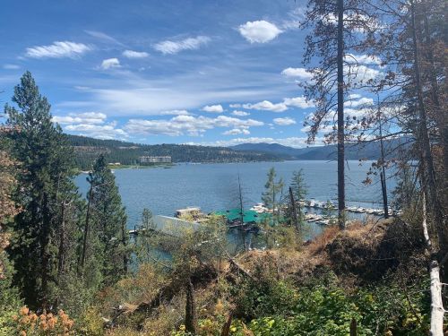 A scenic view of a lake surrounded by trees, with boats docked and mountains in the background under a blue sky.