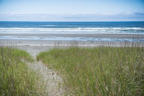 A sandy beach with gentle waves, framed by tall grass and a clear blue sky.