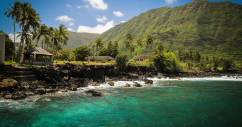 Lush green mountains rise above a rocky shoreline with clear turquoise water and palm trees swaying in the breeze.