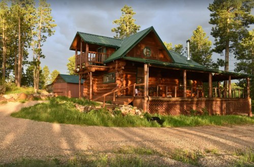 A rustic log cabin surrounded by tall trees, featuring a porch and a green roof, set in a natural landscape.