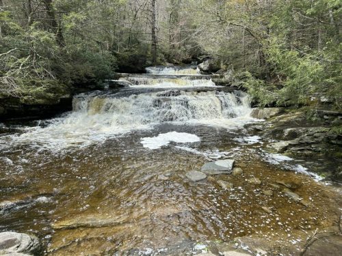 A serene waterfall cascades over rocks, surrounded by lush green trees and a tranquil stream.