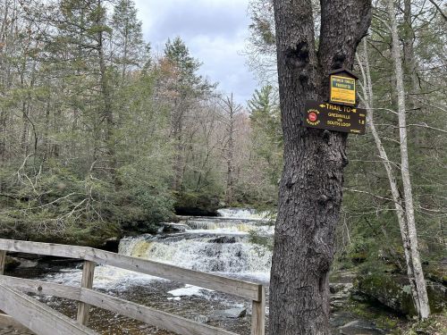 A wooden sign marks the Trail to Greenville South Loop beside a flowing waterfall in a forested area.