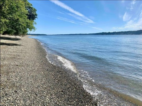 A serene beach scene with pebbles, calm water, and a clear blue sky, surrounded by trees and distant shoreline.