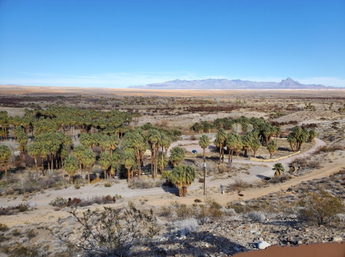 Aerial view of a desert landscape with palm trees and distant mountains under a clear blue sky.