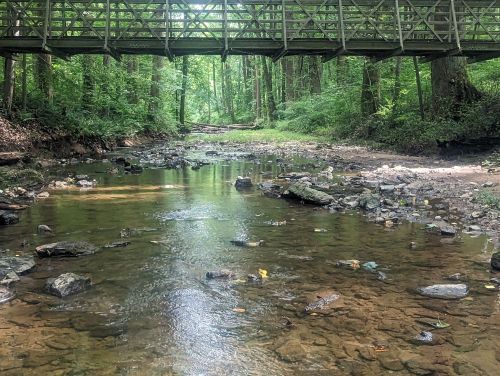 A serene stream flows under a wooden bridge, surrounded by lush green trees and rocky banks.