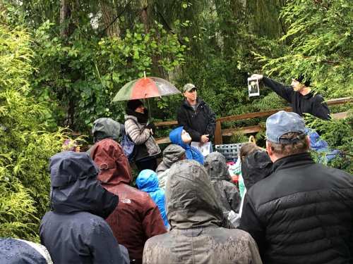 A group of people in raincoats gathers under trees, listening to a speaker holding a photo while it rains.