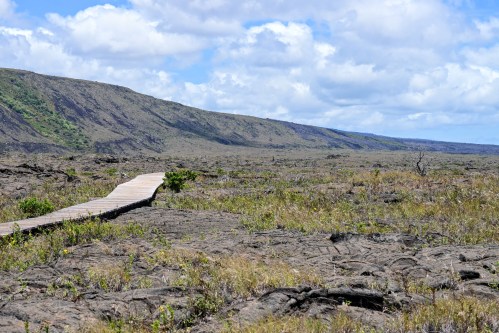A wooden boardwalk stretches across a rocky landscape with sparse vegetation under a blue sky with clouds.