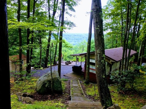 A serene forest scene with a cabin, stone steps, and lush greenery, overlooking a distant valley.
