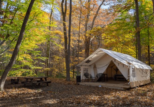 A cozy tent in a forest with colorful autumn leaves, surrounded by trees and a picnic table nearby.