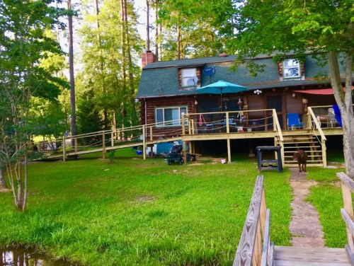 A wooden cabin with a deck surrounded by trees, featuring outdoor seating and a dog on the lawn.