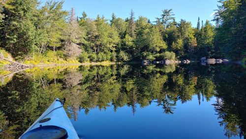 A serene lake surrounded by lush trees, reflecting the clear blue sky and kayak in the foreground.