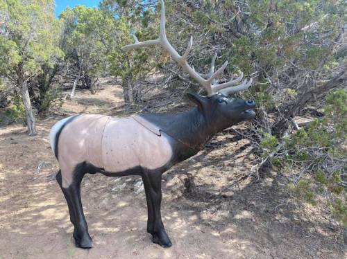 A life-sized elk statue stands among trees, with a realistic design and antlers, in a natural outdoor setting.