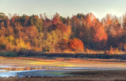 Vibrant autumn foliage reflects in a calm waterway, surrounded by trees in shades of orange, yellow, and green.