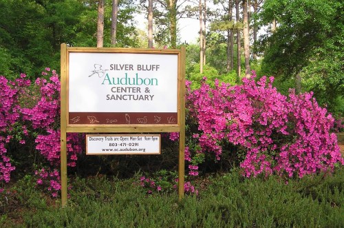 Sign for Silver Bluff Audubon Center & Sanctuary surrounded by vibrant pink flowers and greenery.