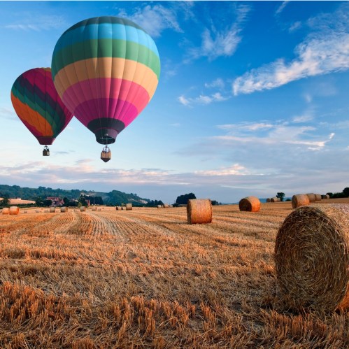 Two colorful hot air balloons float over a golden hayfield under a blue sky with scattered clouds.