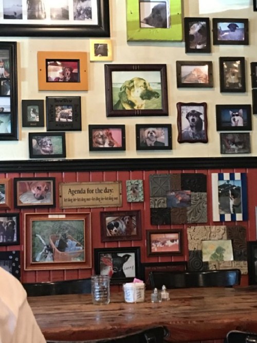 A wall covered in various framed dog photos, with a wooden table in the foreground.