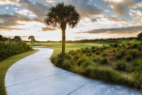 A winding concrete path leads through lush greenery and palm trees, with a sunset sky in the background.