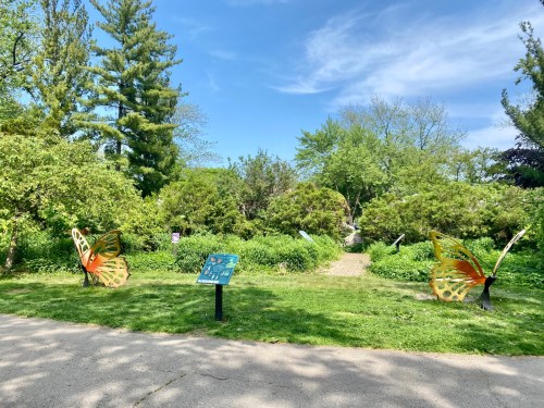 A sunny garden path surrounded by greenery, featuring large butterfly sculptures and a sign.