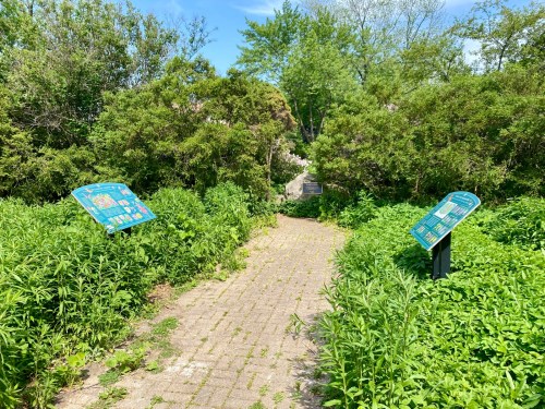 A paved path surrounded by lush greenery, leading to two informational signs on either side.