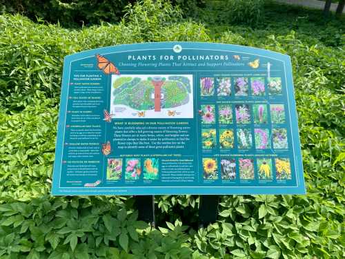 Signboard titled "Plants for Pollinators" featuring tips and images of flowering plants that attract pollinators.