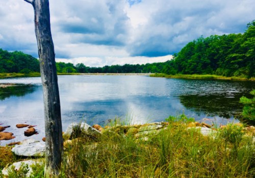 A serene lake surrounded by greenery and trees, with a cloudy sky reflecting on the water's surface.
