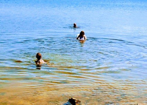 Three people swimming in a calm, clear lake with gentle ripples on the water's surface.
