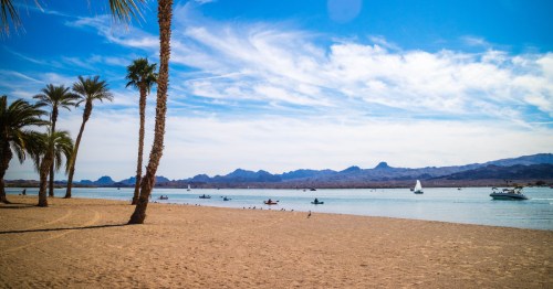 a sandy beach with pakn trees on the shores of lake havasu arizona