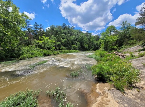 A serene river flows through lush greenery under a bright blue sky with fluffy clouds.